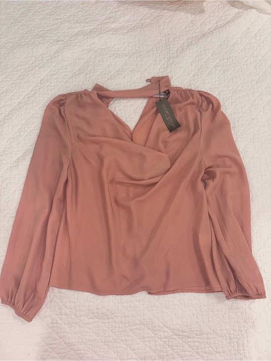 eva mendes for New York & Company Tops - eva mendes for New York & Company Dusty Rose Draped V-Neck Blouse